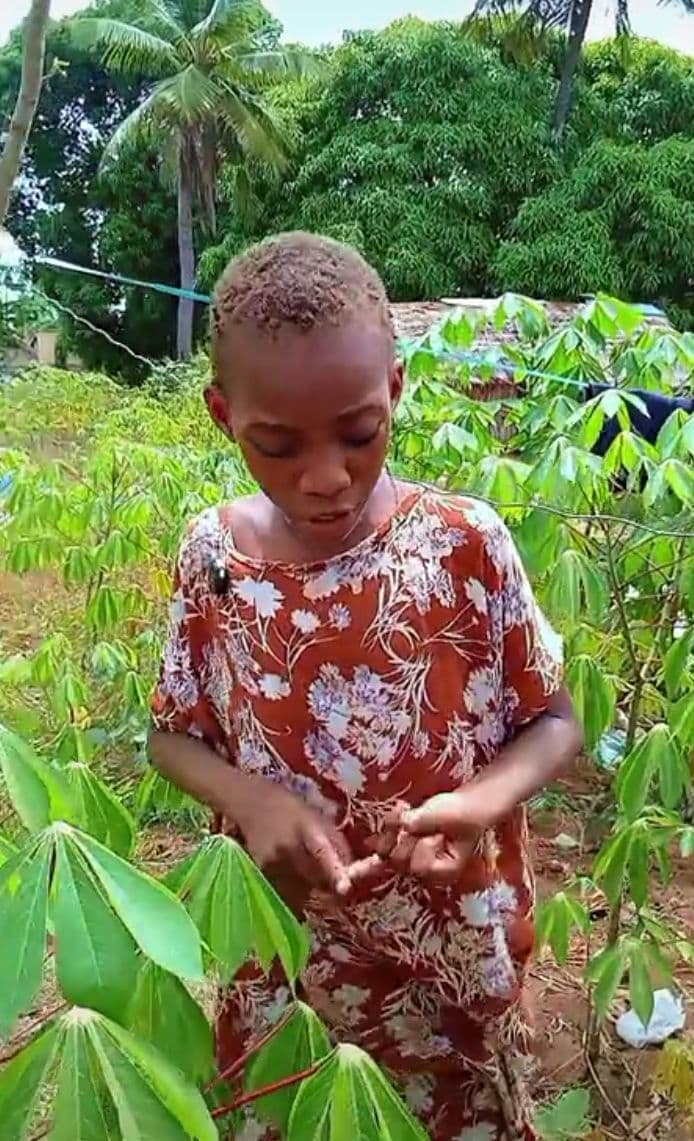 Help a Struggling Mother Provide Food and Education for Her Child