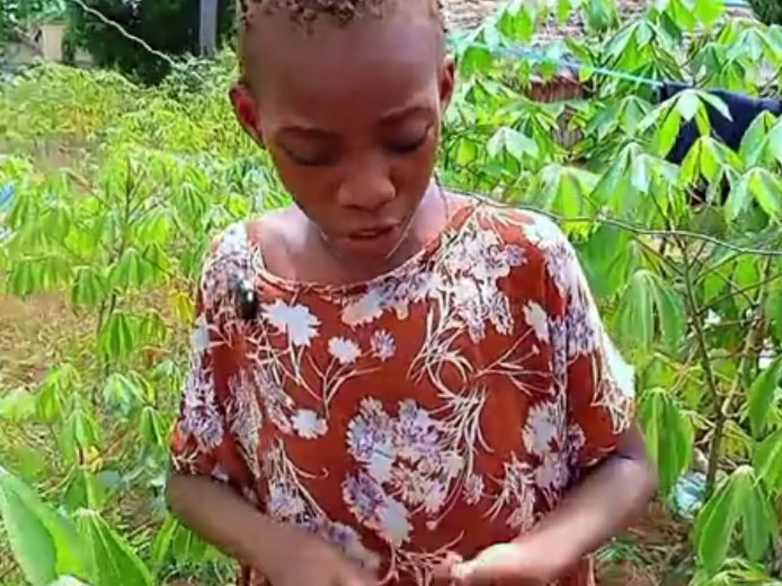 Help a Struggling Mother Provide for Her Two Children