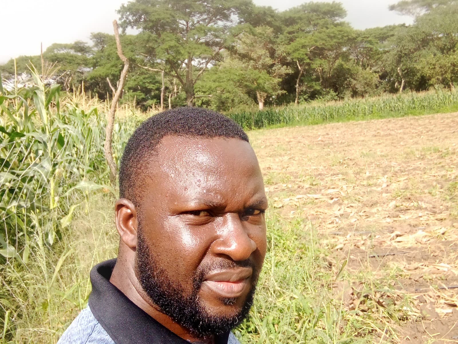 My dear helpers am desperately in need of $5000 for compilation of the horticulture farming project